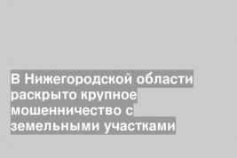 В Нижегородской области раскрыто крупное мошенничество с земельными участками