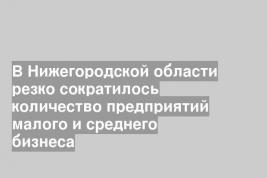 В Нижегородской области резко сократилось количество предприятий малого и среднего бизнеса