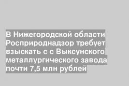 В Нижегородской области Росприроднадзор требует взыскать с с Выксунского металлургического завода почти 7,5 млн рублей
