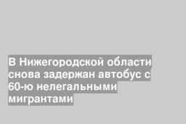 В Нижегородской области снова задержан автобус с 60-ю нелегальными мигрантами