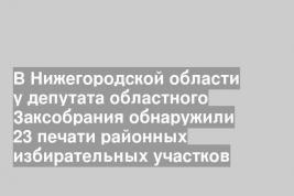 В Нижегородской области у депутата областного Заксобрания обнаружили 23 печати районных избирательных участков