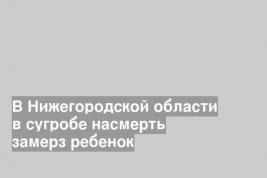 В Нижегородской области в сугробе насмерть замерз ребенок