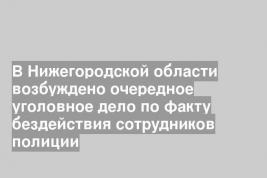 В Нижегородской области возбуждено очередное уголовное дело по факту бездействия сотрудников полиции