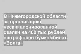 В Нижегородской области за организацию несанкционированной свалки на 400 тыс рублей оштрафован бумкомбинат «Волга»