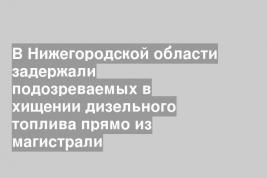 В Нижегородской области задержали подозреваемых в хищении дизельного топлива прямо из магистрали