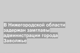 В Нижегородской области задержан замглавы администрации города Заволжье