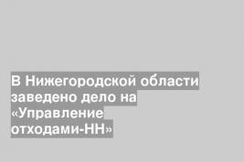 В Нижегородской области заведено дело на «Управление отходами-НН»