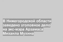 В Нижегородской области заведено уголовное дело на экс-мэра Арзамаса Михаила Мухина