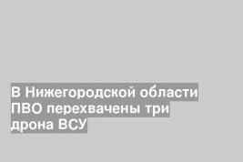 В Нижегородской области ПВО перехвачены три дрона ВСУ