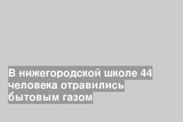 В нижегородской школе 44 человека отравились бытовым газом