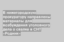 В нижегородскую прокуратуру направлены материалы для возбуждения уголовного дела о свалке в СНТ «Родник»