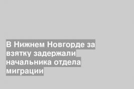 В Нижнем Новгорде за взятку задержали начальника отдела миграции