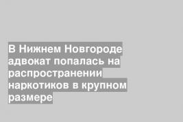 В Нижнем Новгороде адвокат попалась на распространении наркотиков в крупном размере