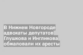 В Нижнем Новгороде адвокаты депутатов Глушкова и Ингликова обжаловали их аресты