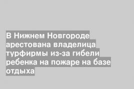 В Нижнем Новгороде арестована владелица турфирмы из-за гибели ребенка на пожаре на базе отдыха