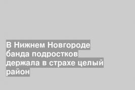 В Нижнем Новгороде банда подростков держала в страхе целый район