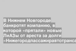 В Нижнем Новгороде банкротят компанию, в которой «прятали» новые ЛиАЗы от ареста за долги «Нижегородпассажиравтотранса»
