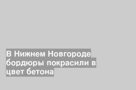 В Нижнем Новгороде бордюры покрасили в цвет бетона