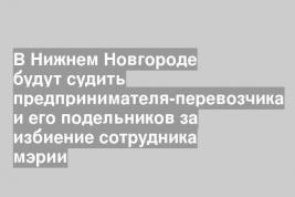 В Нижнем Новгороде будут судить предпринимателя-перевозчика и его подельников за избиение сотрудника мэрии
