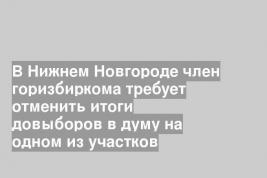 В Нижнем Новгороде член горизбиркома требует отменить итоги довыборов в думу на одном из участков