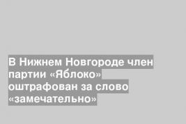 В Нижнем Новгороде член партии «Яблоко» оштрафован за слово «замечательно»