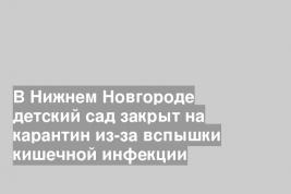 В Нижнем Новгороде детский сад закрыт на карантин из-за вспышки кишечной инфекции