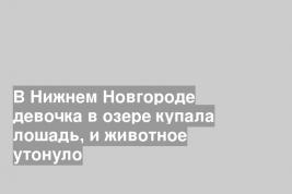 В Нижнем Новгороде девочка в озере купала лошадь, и животное утонуло