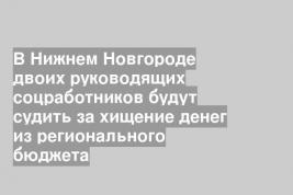 В Нижнем Новгороде двоих руководящих соцработников будут судить за хищение денег из регионального бюджета