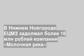 В Нижнем Новгороде ЕЦМЗ задолжал более 16 млн рублей компании «Молочная река»