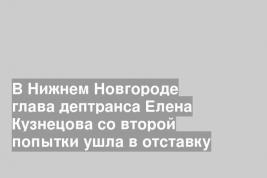 В Нижнем Новгороде глава дептранса Елена Кузнецова со второй попытки ушла в отставку