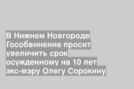 В Нижнем Новгороде Гособвинение просит увеличить срок осужденному на 10 лет экс-мэру Олегу Сорокину