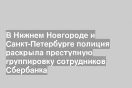 В Нижнем Новгороде и Санкт-Петербурге полиция раскрыла преступную группировку сотрудников Сбербанка