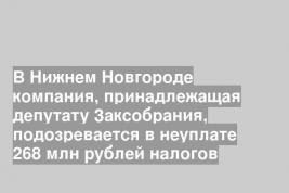 В Нижнем Новгороде компания, принадлежащая депутату Заксобрания, подозревается в неуплате 268 млн рублей налогов