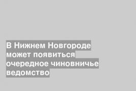 В Нижнем Новгороде может появиться очередное чиновничье ведомство