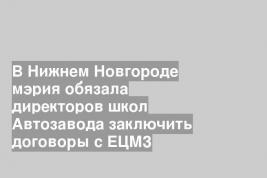 В Нижнем Новгороде мэрия обязала директоров школ Автозавода заключить договоры с ЕЦМЗ