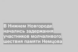 В Нижнем Новгороде начались задержания участников молчаливого шествия памяти Немцова