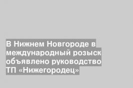 В Нижнем Новгороде в международный розыск объявлено руководство ТП «Нижегородец»