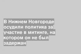 В Нижнем Новгороде осудили политика за участие в митинге, на котором он не был задержан