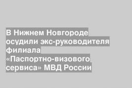 В Нижнем Новгороде осудили экс-руководителя филиала «Паспортно-визового сервиса» МВД России