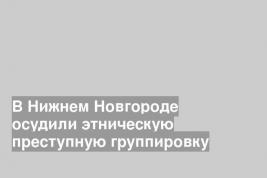 В Нижнем Новгороде осудили этническую преступную группировку