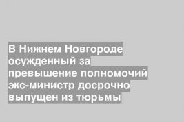 В Нижнем Новгороде осужденный за превышение полномочий экс-министр досрочно выпущен из тюрьмы