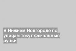 В Нижнем Новгороде по улицам текут фекальные ручьи