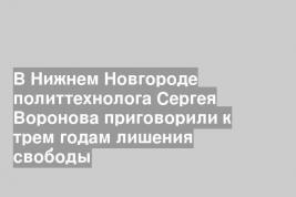 В Нижнем Новгороде политтехнолога Сергея Воронова приговорили к трем годам лишения свободы