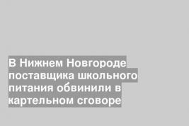 В Нижнем Новгороде поставщика школьного питания обвинили в картельном сговоре