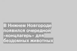 В Нижнем Новгороде появился очередной «концлагерь» для бездомных животных