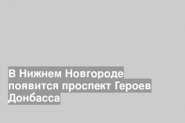 В Нижнем Новгороде появится проспект Героев Донбасса