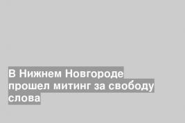 В Нижнем Новгороде прошел митинг за свободу слова