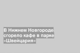 В Нижнем Новгороде сгорело кафе в парке «Швейцария»