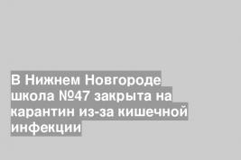 В Нижнем Новгороде школа №47 закрыта на карантин из-за кишечной инфекции