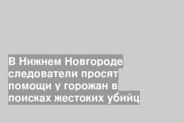 В Нижнем Новгороде следователи просят помощи у горожан в поисках жестоких убийц